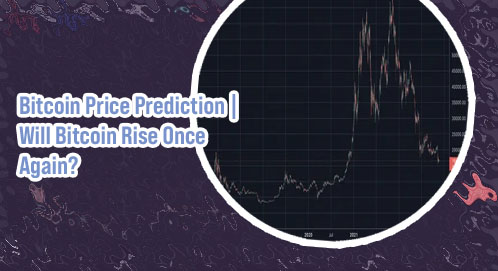 Bitcoin peak price