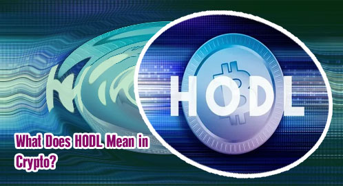 Crypto hodl