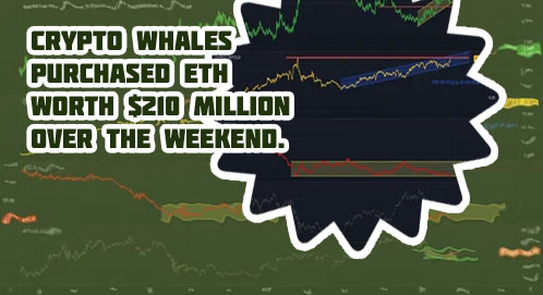 Crypto market forecast