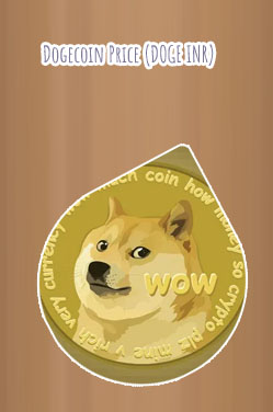 Dogecoins stock