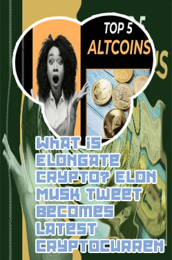 Elongate crypto coin