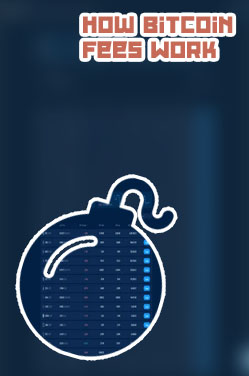 How much does cryptocom charge