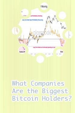 Top bitcoin holders