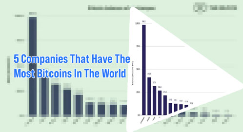 Who owns the most bitcoins
